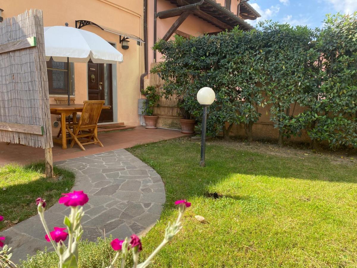 Agriturismo Terranera Scansano Eksteriør billede