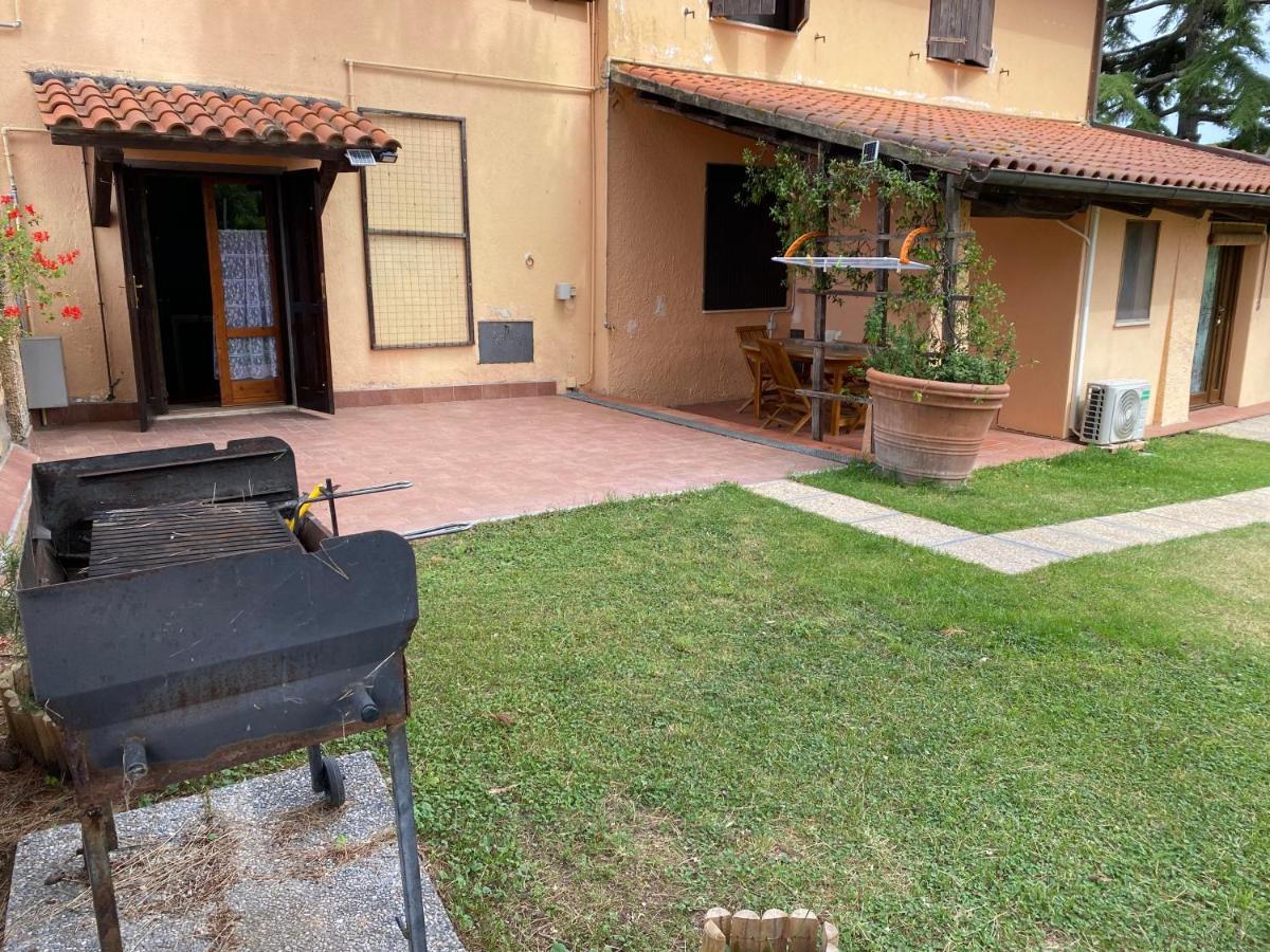 Agriturismo Terranera Scansano Eksteriør billede