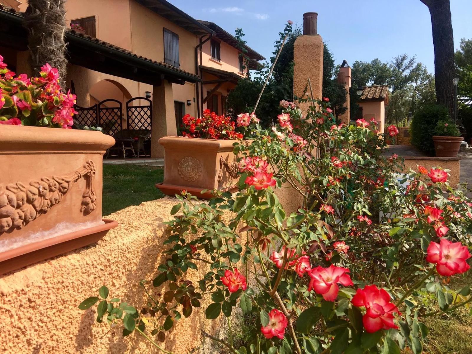 Agriturismo Terranera Scansano Eksteriør billede