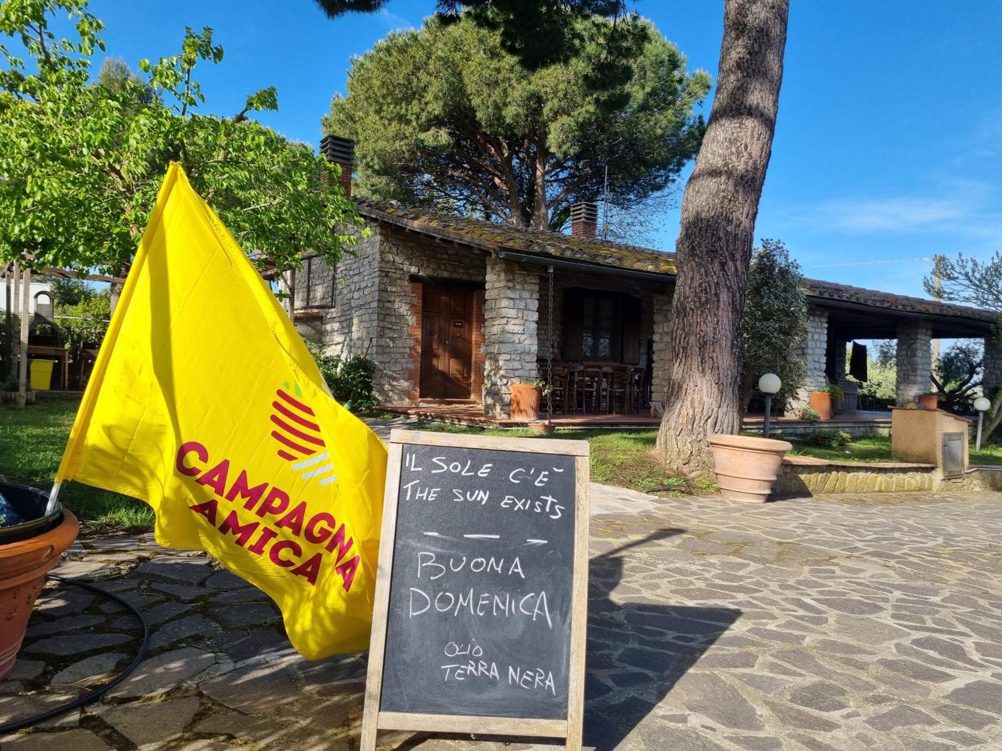 Agriturismo Terranera Scansano Eksteriør billede