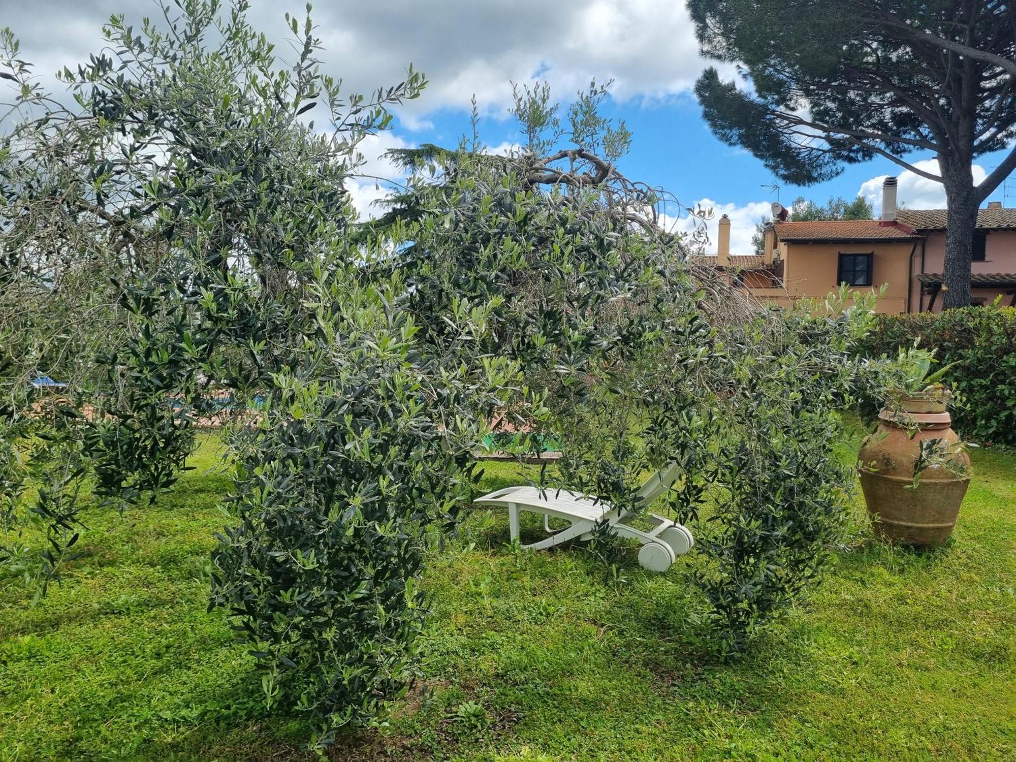 Agriturismo Terranera Scansano Eksteriør billede