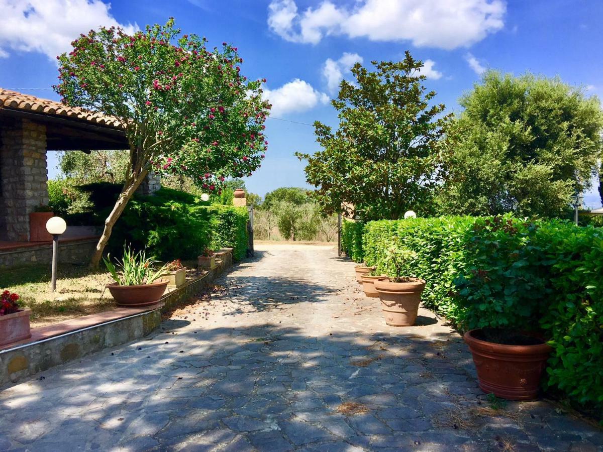 Agriturismo Terranera Scansano Eksteriør billede