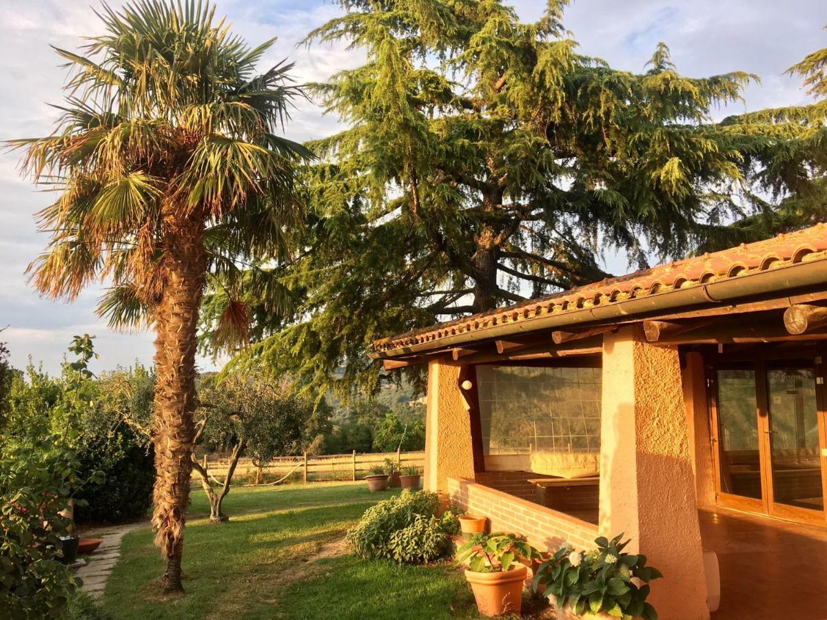 Agriturismo Terranera Scansano Eksteriør billede