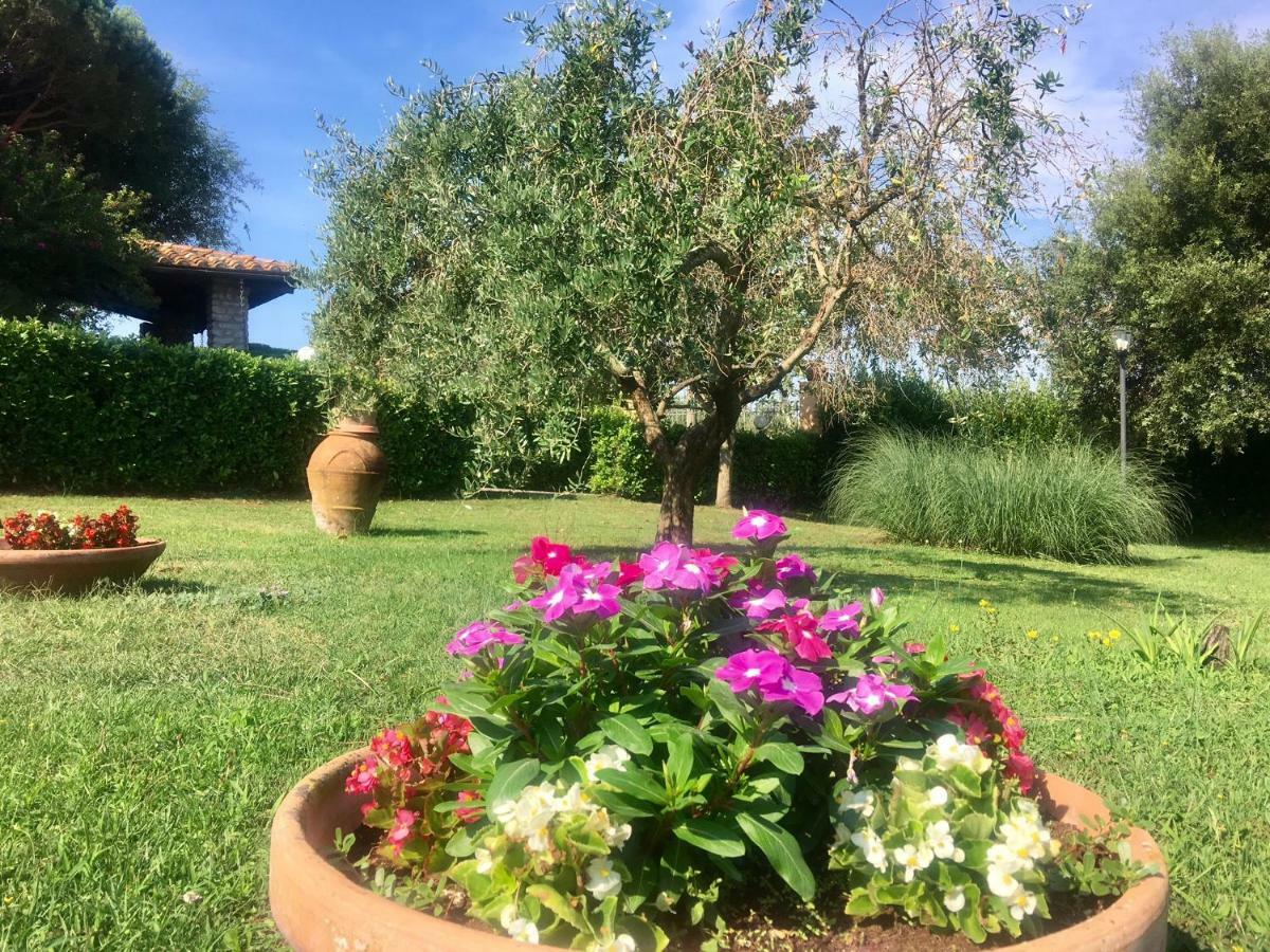 Agriturismo Terranera Scansano Eksteriør billede